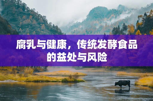 腐乳与健康，传统发酵食品的益处与风险