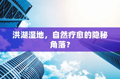 洪湖湿地，自然疗愈的隐秘角落？
