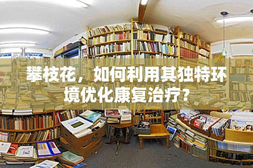 攀枝花，如何利用其独特环境优化康复治疗？