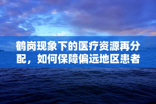 鹤岗现象下的医疗资源再分配，如何保障偏远地区患者的康复治疗？