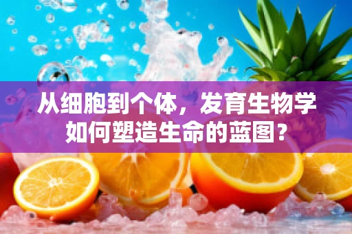 从细胞到个体，发育生物学如何塑造生命的蓝图？