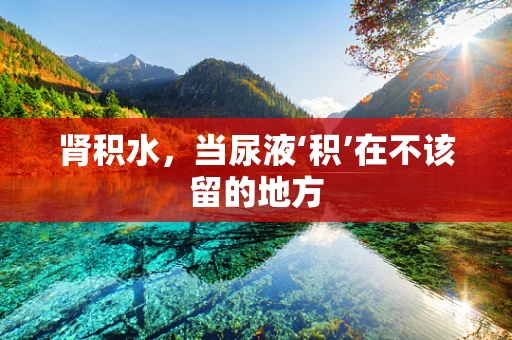 肾积水，当尿液‘积’在不该留的地方