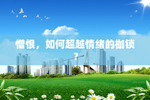 憎恨，如何超越情绪的枷锁？