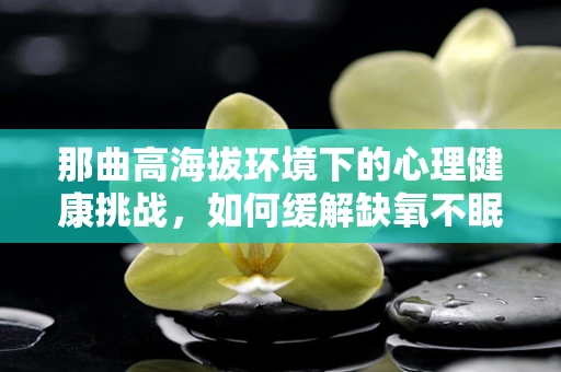 那曲高海拔环境下的心理健康挑战，如何缓解缺氧不眠的困境？