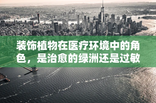 装饰植物在医疗环境中的角色，是治愈的绿洲还是过敏的隐患？