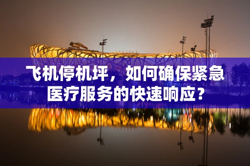 飞机停机坪，如何确保紧急医疗服务的快速响应？