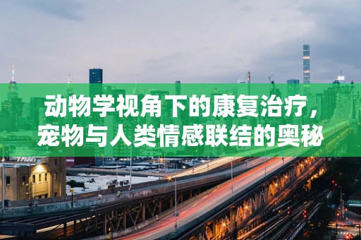 动物学视角下的康复治疗，宠物与人类情感联结的奥秘