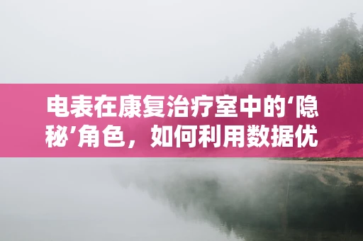 电表在康复治疗室中的‘隐秘’角色，如何利用数据优化患者体验？