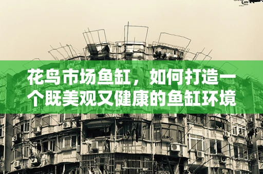 花鸟市场鱼缸，如何打造一个既美观又健康的鱼缸环境？