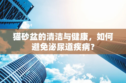 猫砂盆的清洁与健康，如何避免泌尿道疾病？