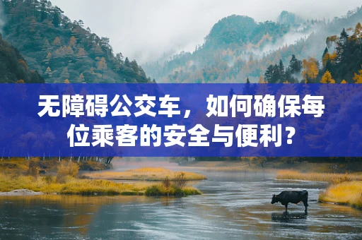 无障碍公交车，如何确保每位乘客的安全与便利？
