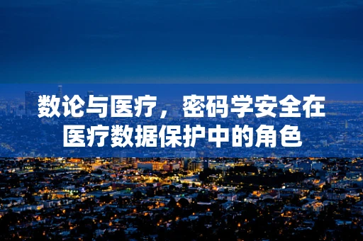 数论与医疗，密码学安全在医疗数据保护中的角色