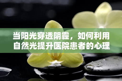 当阳光穿透阴霾，如何利用自然光提升医院患者的心理与生理健康？