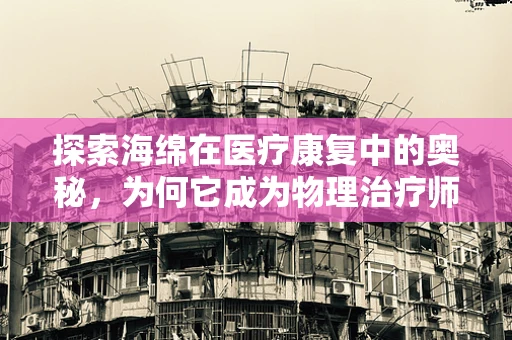 探索海绵在医疗康复中的奥秘，为何它成为物理治疗师的秘密武器？