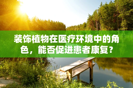 装饰植物在医疗环境中的角色，能否促进患者康复？