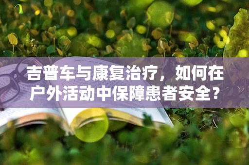 吉普车与康复治疗，如何在户外活动中保障患者安全？