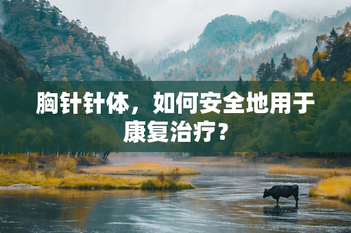 胸针针体，如何安全地用于康复治疗？