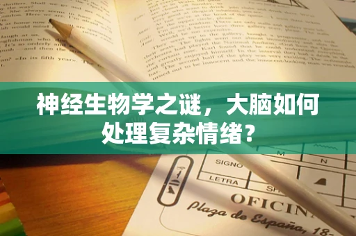 神经生物学之谜，大脑如何处理复杂情绪？