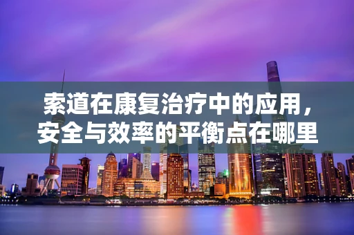 索道在康复治疗中的应用，安全与效率的平衡点在哪里？