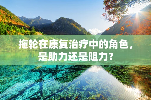 拖轮在康复治疗中的角色，是助力还是阻力？