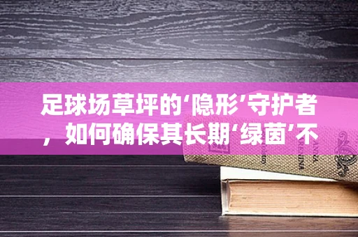 足球场草坪的‘隐形’守护者，如何确保其长期‘绿茵’不衰？
