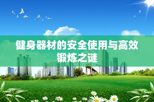 健身器材的安全使用与高效锻炼之谜