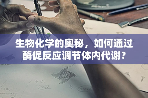 生物化学的奥秘，如何通过酶促反应调节体内代谢？