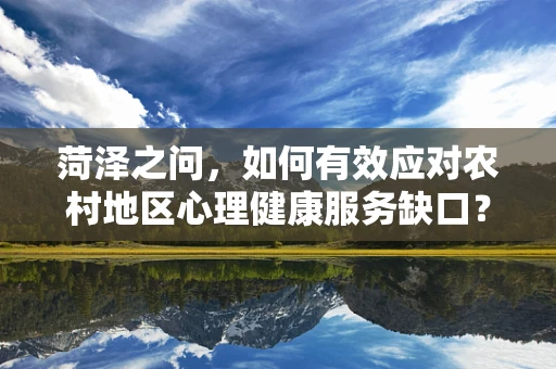 菏泽之问，如何有效应对农村地区心理健康服务缺口？