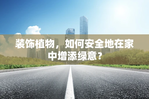 装饰植物，如何安全地在家中增添绿意？