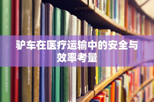 驴车在医疗运输中的安全与效率考量