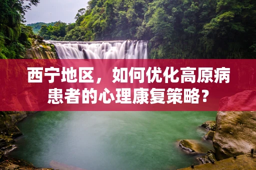 西宁地区，如何优化高原病患者的心理康复策略？