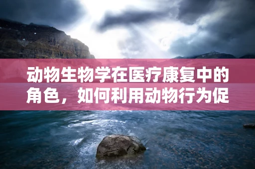 动物生物学在医疗康复中的角色，如何利用动物行为促进患者恢复？
