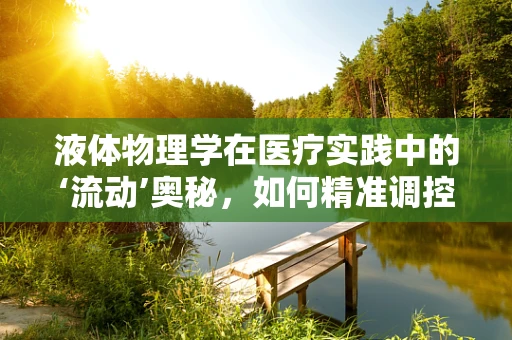 液体物理学在医疗实践中的‘流动’奥秘，如何精准调控输液速度？