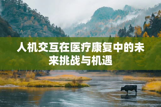 人机交互在医疗康复中的未来挑战与机遇