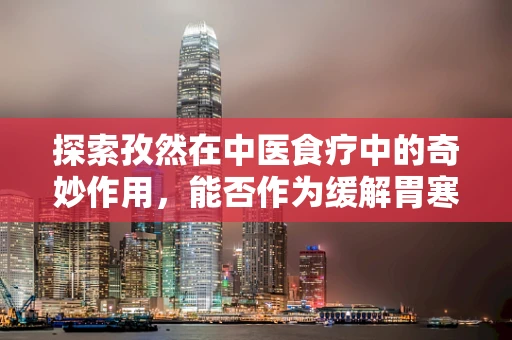 探索孜然在中医食疗中的奇妙作用，能否作为缓解胃寒的天然良方？