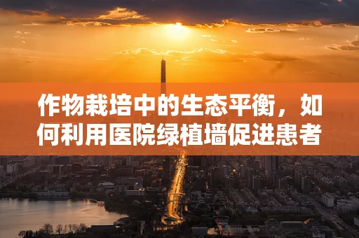 作物栽培中的生态平衡，如何利用医院绿植墙促进患者康复？
