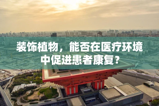 装饰植物，能否在医疗环境中促进患者康复？