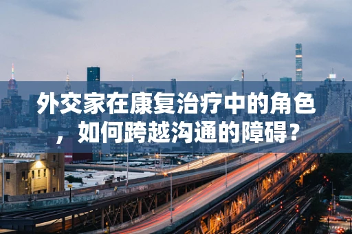 外交家在康复治疗中的角色，如何跨越沟通的障碍？