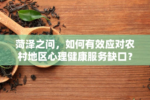 菏泽之问，如何有效应对农村地区心理健康服务缺口？