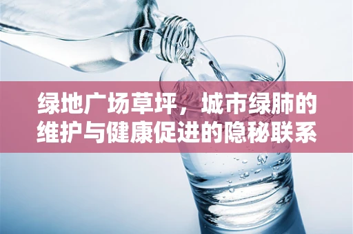 绿地广场草坪，城市绿肺的维护与健康促进的隐秘联系