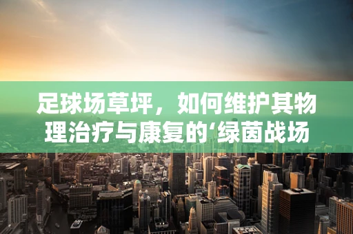 足球场草坪，如何维护其物理治疗与康复的‘绿茵战场’？