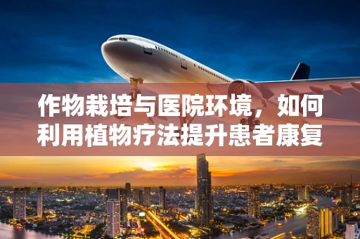 作物栽培与医院环境，如何利用植物疗法提升患者康复环境？