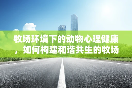 牧场环境下的动物心理健康，如何构建和谐共生的牧场氛围？