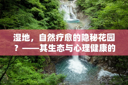 湿地，自然疗愈的隐秘花园？——其生态与心理健康的双重益处