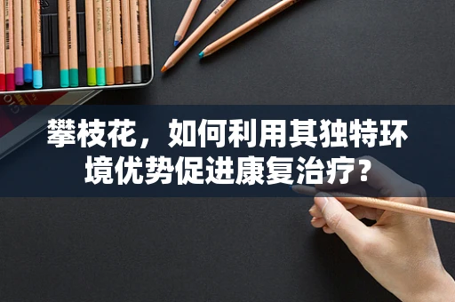 攀枝花，如何利用其独特环境优势促进康复治疗？