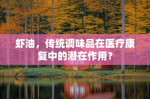 虾油，传统调味品在医疗康复中的潜在作用？