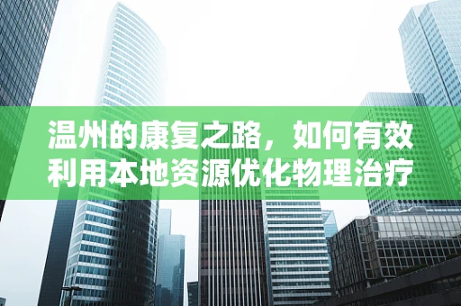 温州的康复之路，如何有效利用本地资源优化物理治疗服务？