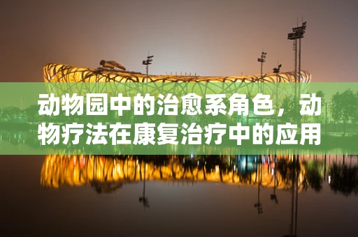 动物园中的治愈系角色，动物疗法在康复治疗中的应用