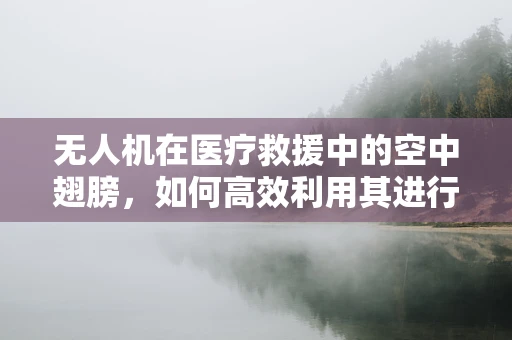 无人机在医疗救援中的空中翅膀，如何高效利用其进行紧急物资运输？