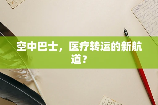 空中巴士，医疗转运的新航道？